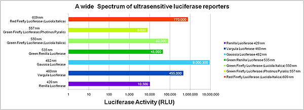 Luciferase assay