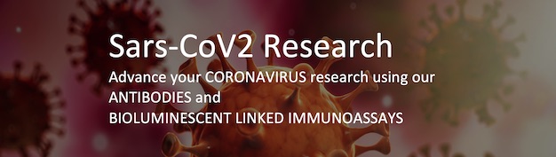 Sars CoV2 Research