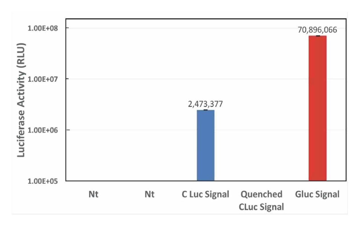 Sequential detection of Cypridina and Gaussia dual luciferase assay workflow diagram