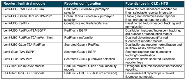 Constitutive luciferase reporters driven by UBC promoter or dual bioluminescent/fluorescent reporter lentivirus and potential uses