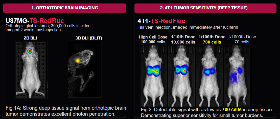 Deep Tissue Imaging Comparison